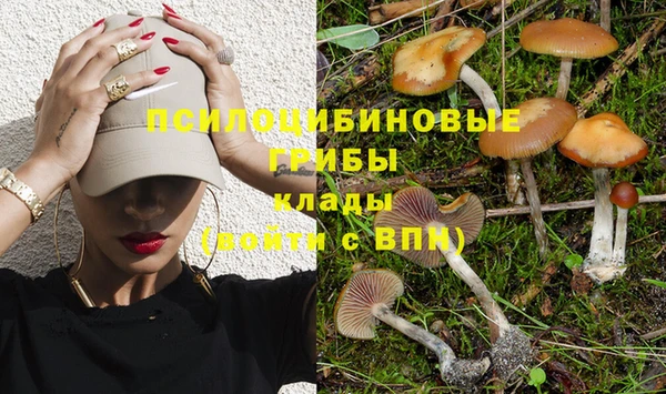 Альфа ПВП Абаза
