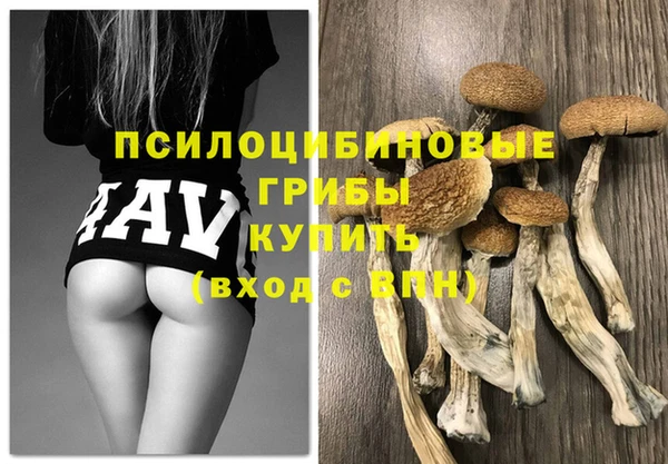 бутират Переславль-Залесский